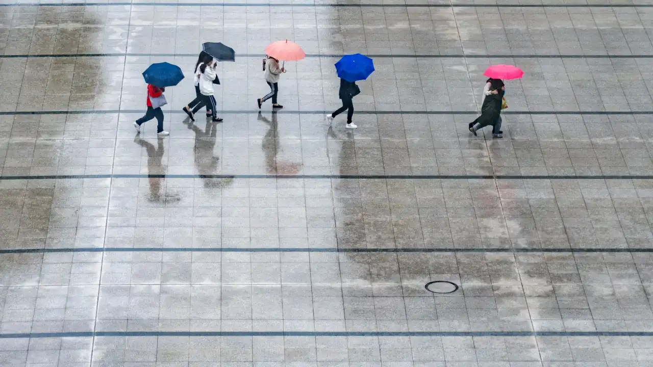 www污污污站点访问指南与安全注意事项